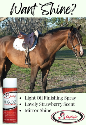 banner ad shapleys hi gloss