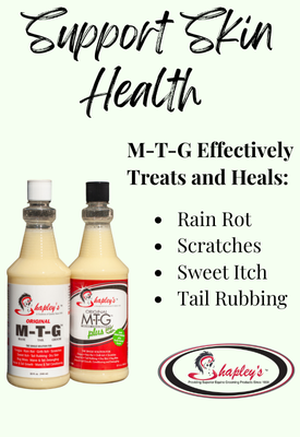 banner ad shapleys mtg