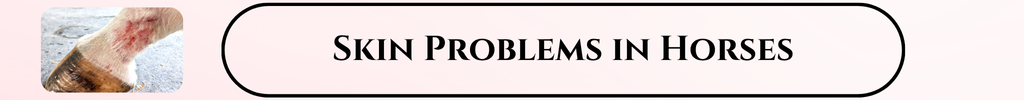 skin problems in horses article link