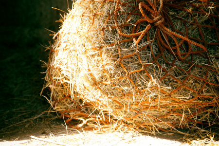 hay net slow feeder for horses