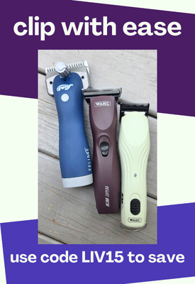 wahl temporary banner ad