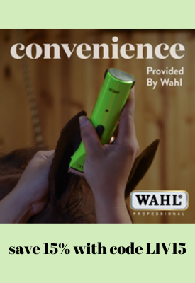 banner ad wahl permanent