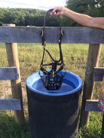 eat and drink with a grazing muzzle